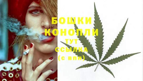 индика Медногорск