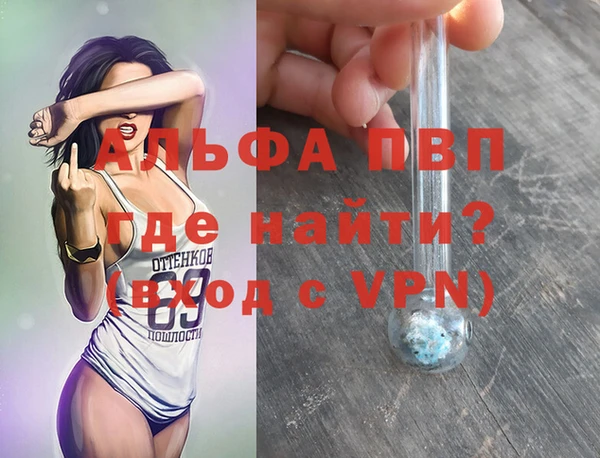 индика Медногорск
