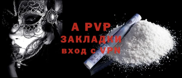 индика Медногорск