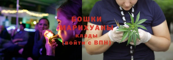 индика Медногорск