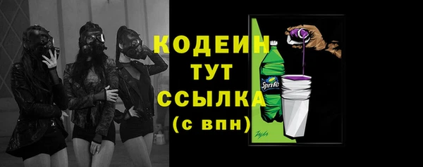 индика Медногорск