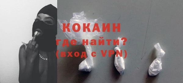 индика Медногорск