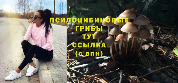 индика Медногорск