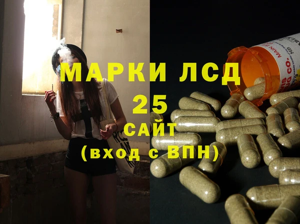 индика Медногорск