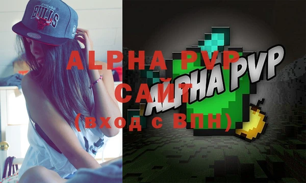 индика Медногорск