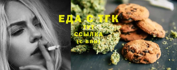 индика Медногорск