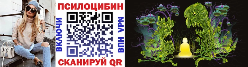 Купить где  Анжеро-Судженск  Галлюциногенные грибы Psilocybe 
